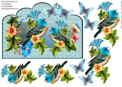 Bird Song 2