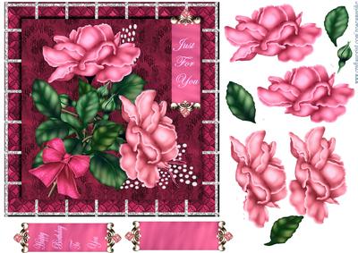Winter Roses in Pink