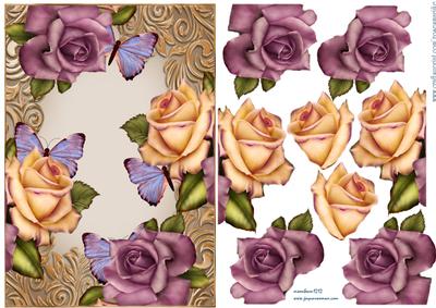 Heritage Roses & Butterflies