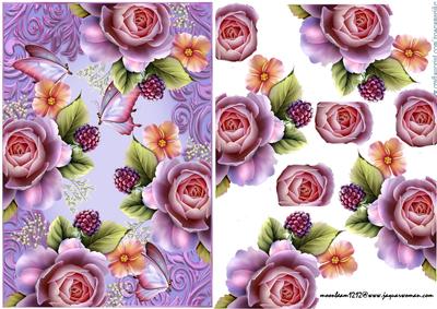 English Roses and Butterflies