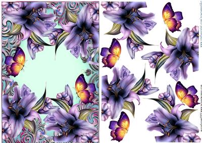 Lilies and Butterflies