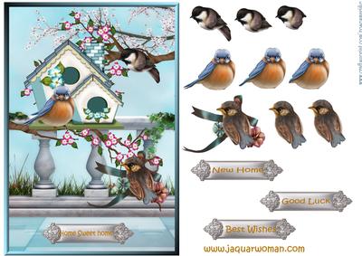 New Home Precious Birds