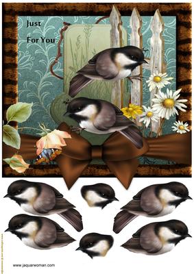 Male Card Bird Song