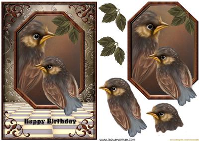 Male Card Birthday Birds