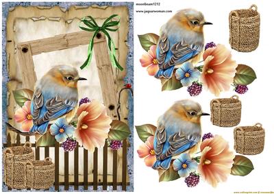Birdsong in the Garden