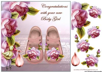 Baby Girl Shoes and Roses