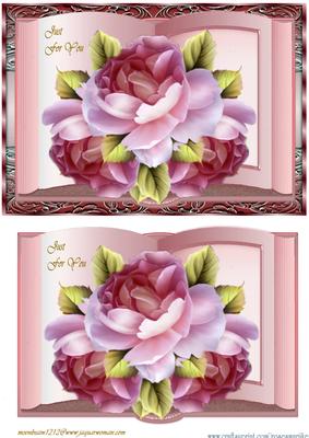 Book Pink English Roses