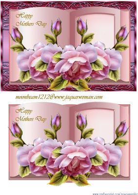 Book Mothers Day English Roses