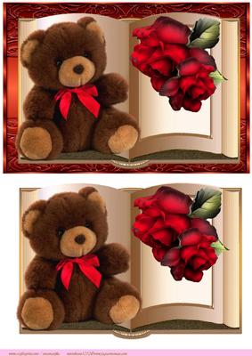 Book Teddie and Roses