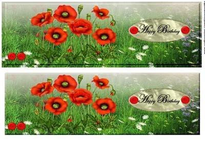 Large Dl Card Poppys