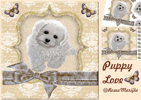 Mini Kit Puppy Love 1