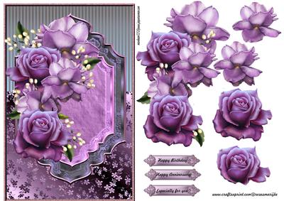 Classic Purple Roses Beauty
