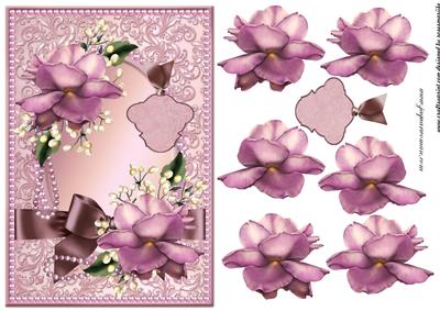 Pink Roses for the Ladies