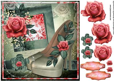 Fabulous Shoes in Vintage Frame
