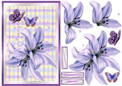 Lilac Lilies