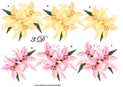 3 D Lilies