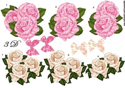 3 D Roses in Yvory and Pink