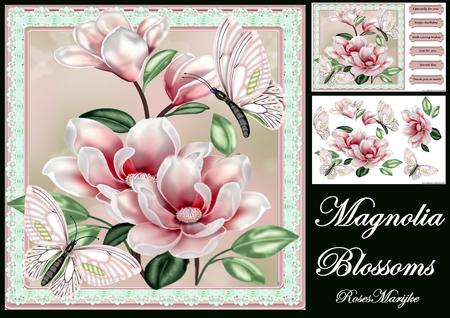 Mini Kit Magnolia Blossoms