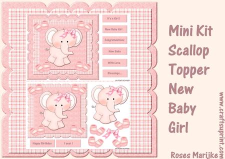 Mini Kit Scallop Topper New Baby Girl