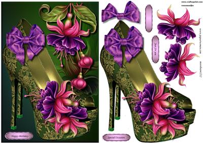 Laces Hoes and Fuchsias