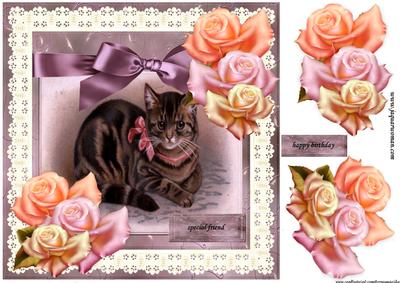 Vintage Kitten in Broderie Frame