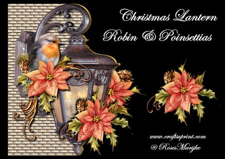 Mini Kit Christmas Lantern,robin & Poinsettias
