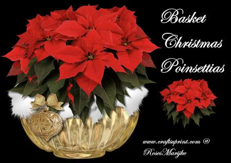 Minikit Basket Christmas Poinsettias
