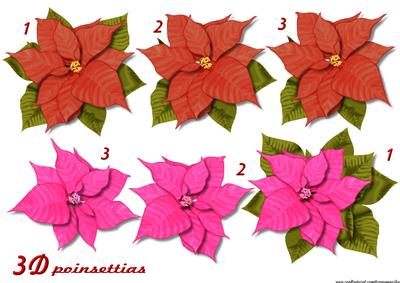 Poinsettia Red & Pink 3D