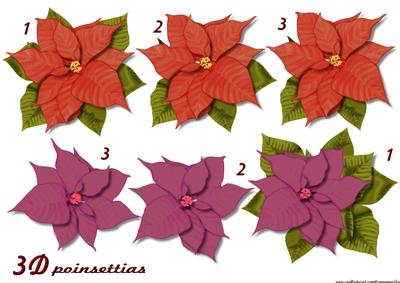 Poinsettias Red & Violet 3 D