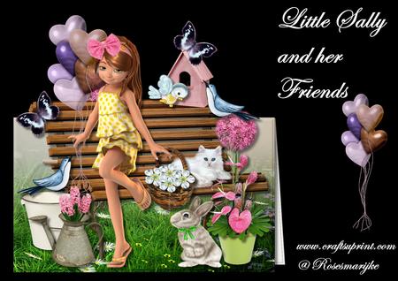 Mini Kit Little Sally and Her Friends