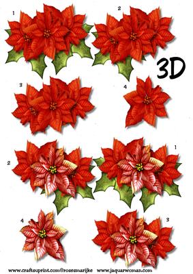 3D Poinsettia