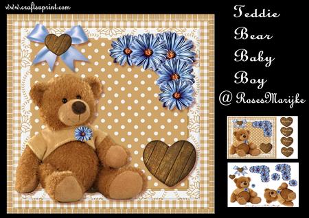 Teddie Bear New Baby Boy