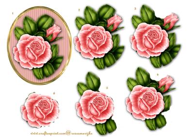 Step by Step Vintage Roses Oval Frame