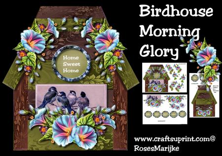Birdhouse Morning Glory