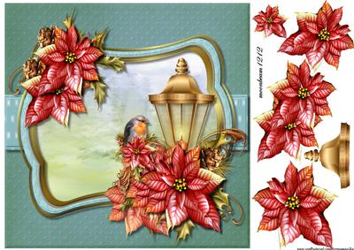 Beautiful Christmas Poinsettias 1