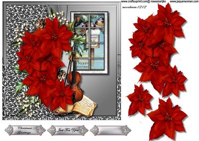 Beautiful Poinsettias