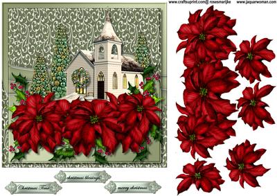 Beautiful Poinsettias 2