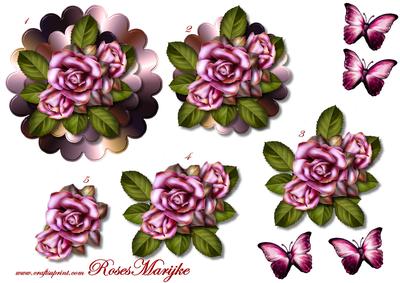 Topper Roses Step by Step