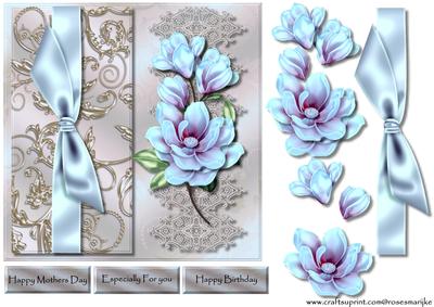 Beautiful Magnolias