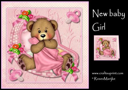 New Baby Girl