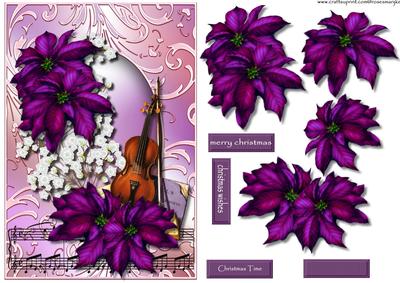 Christmas Poinsettias & Music