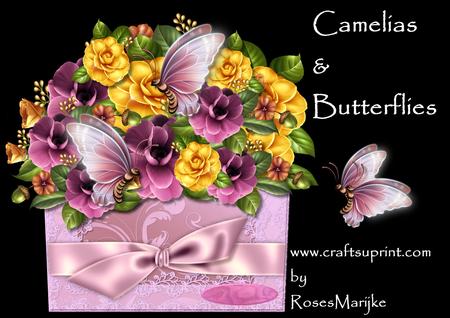 Flower Box Camelias & Butterflies