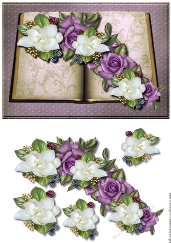  Book Roses & Camelias