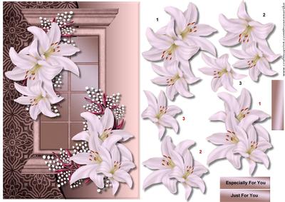Window Lovely Lilies