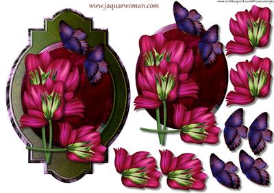 Panel Anemones