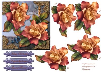 Male Card & Autumn Roses