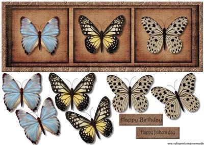 Large Dl Male Card Vintage Butterflies