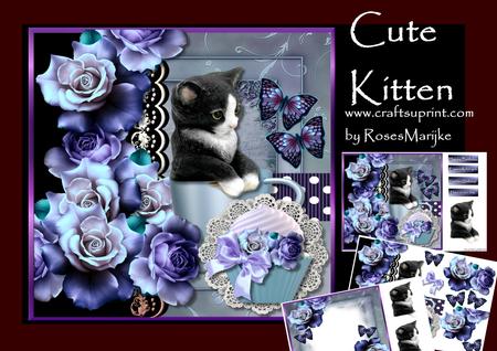 Mini Kit Cute Kitten in Bleu
