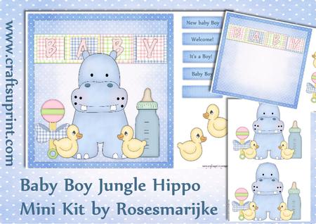 Mini Kit New Baby Boy Jungle Hippo