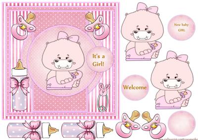 Cute Hippo New Baby Girl